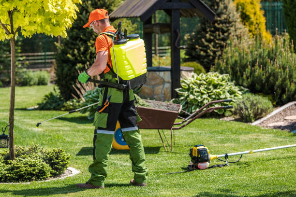 Best Bee and Wasp Removal  in Abingdon, IL